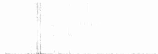 Тауї плямистий - ML613388722