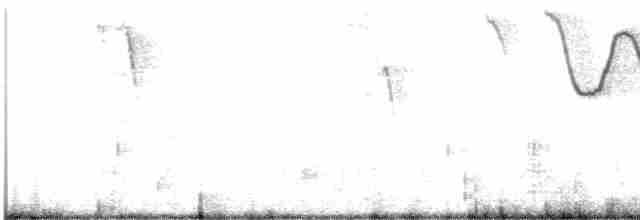 Band-tailed Sierra Finch - ML613389594