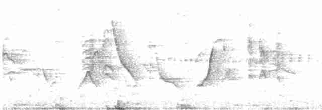 Tinamou des Andes - ML613392598