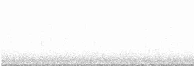 Белоголовый орлан - ML613393047