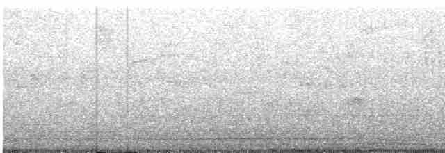 holub neotropický - ML613393572