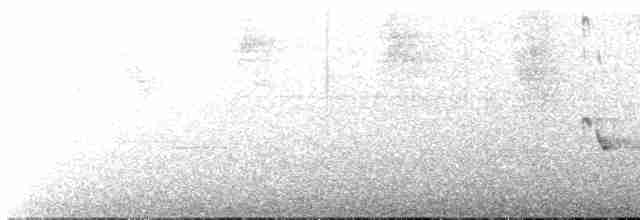 Чернокрылый толстонос - ML613396104