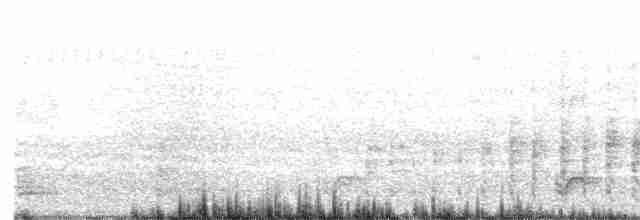 Spotless Crake - ML613397211