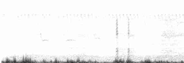 Spotless Crake - ML613397219
