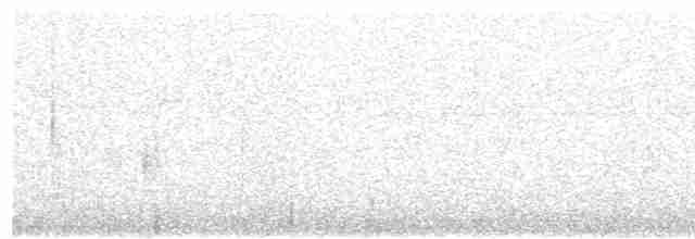 Rostbrust-Ameisendrossel - ML613400291