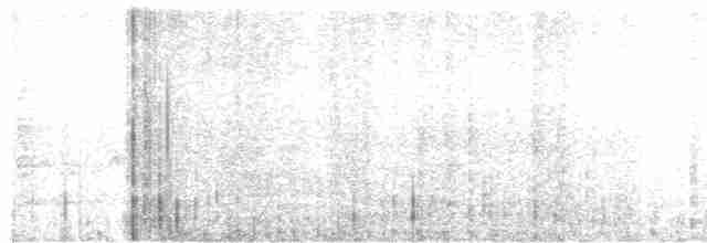 perlička kropenatá - ML613403076