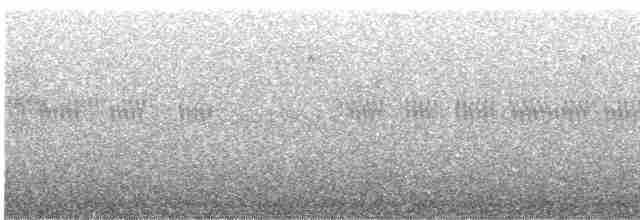 Синеголовая веерохвостка - ML613404308