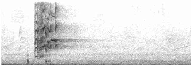 Loriquet arc-en-ciel - ML613410527