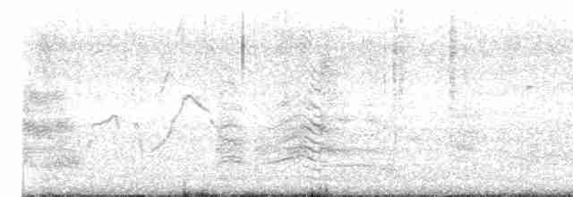 裏海燕鷗 - ML613411159