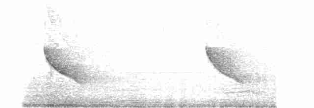 langhaleskredderfugl - ML613411655