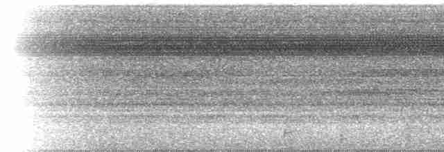 Сплюшка амазонійська (підвид watsonii) - ML613411697