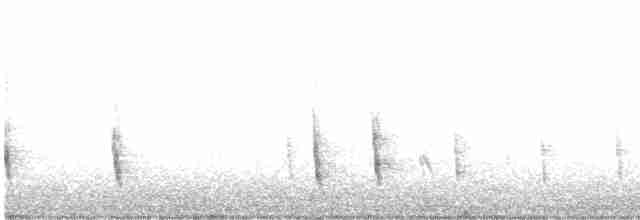 Дрізд-короткодзьоб плямистоволий - ML613411920