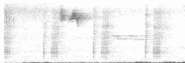 Аракарі плямистоволий - ML613412022