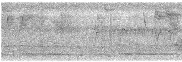 strakapoud hnědohlavý - ML613414728