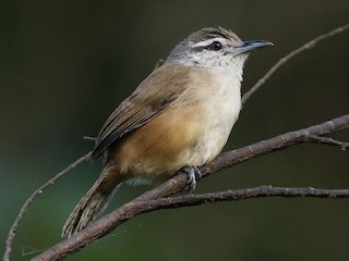 Fohishalardan keyin xotinlar