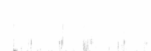 Indien-Rotschnabelbülbül - ML613419516