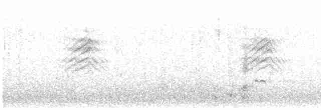 ostralka žlutozobá (ssp. spinicauda/niceforoi) - ML613421084