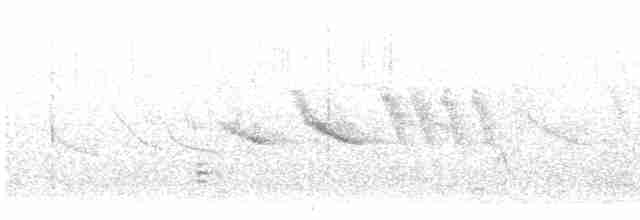Long-tailed Meadowlark - ML613421525