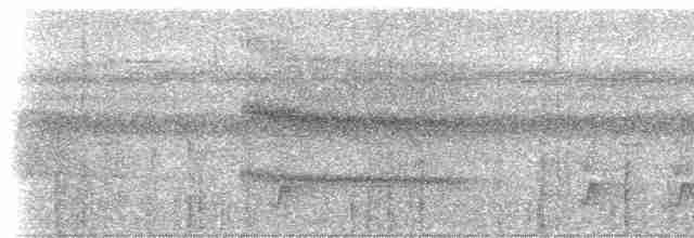 Серохохлая чубатка - ML613424824