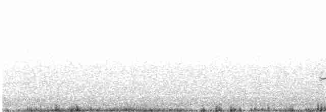 Black-bellied Plover - ML613425110