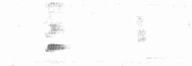 Короткохохлый миарх - ML613426825
