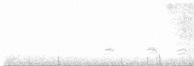 Каролинский крапивник - ML613429844