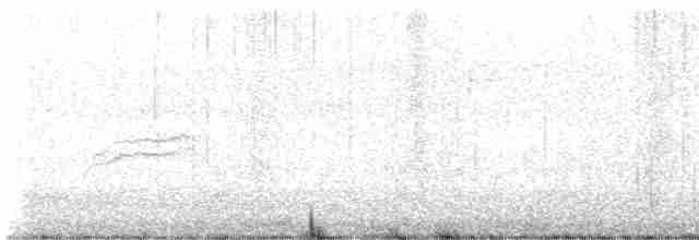 Hermit Thrush - ML613430168