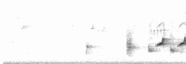 Australian Reed Warbler - ML613433916