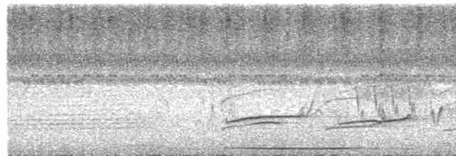 Тиран-крихітка світлогорлий - ML613434072