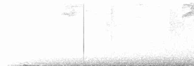 アオムネシロメジリハチドリ - ML613437530