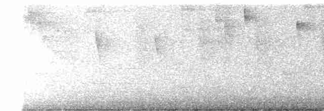 アオムネシロメジリハチドリ - ML613437811