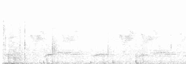 Токро чубатий - ML613440226
