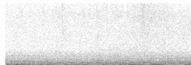 棕耳鵯 - ML613446126