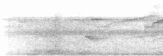 Montezuma Oropendulası - ML613449715