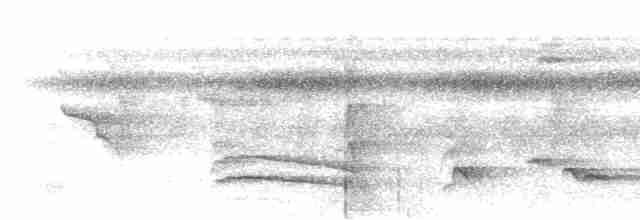 Зернолуск білогорлий - ML613449732