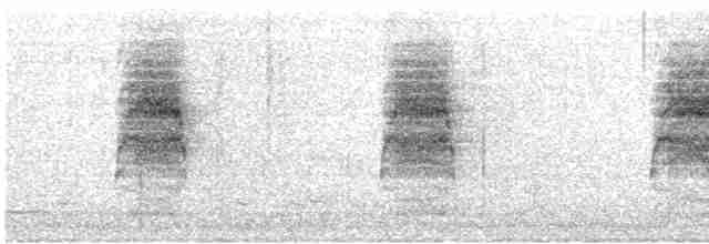 kakadu hnědohlavý - ML613450168