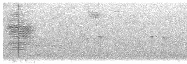 Пересмішник сірий - ML613453511