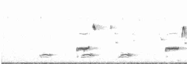 Loggerhead Shrike - ML613454112