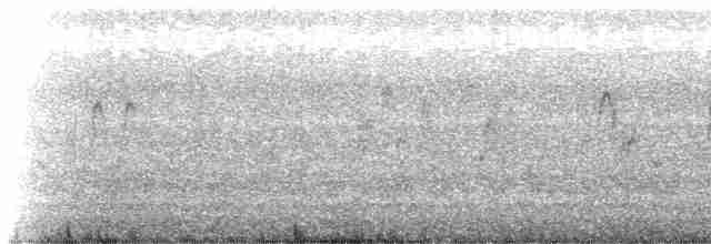 Pipit antarctique - ML613454158