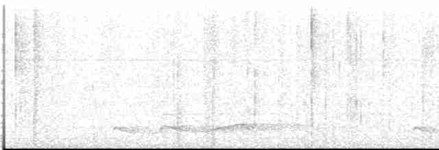 Silky-tailed Nightjar - ML613454287