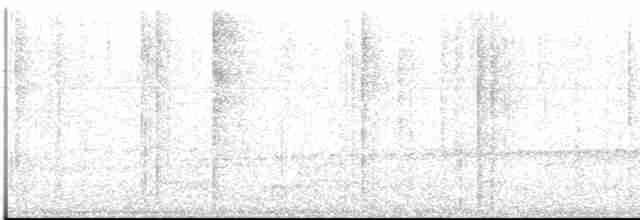 Atlantik Kara Gerdanlı Trogonu - ML613454420