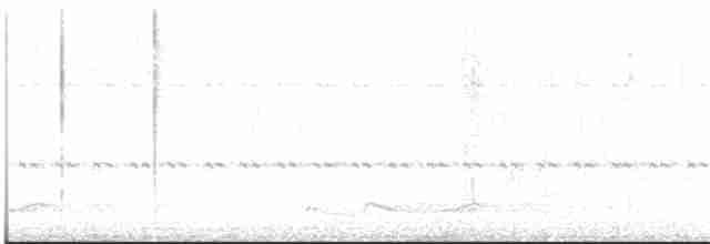 Silky-tailed Nightjar - ML613454893