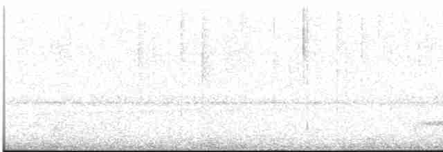 Каштановый скрытохвост - ML613454897