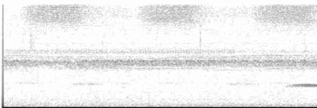 Каштановый скрытохвост - ML613455074