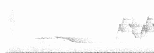 Скриточуб гірський - ML613456051