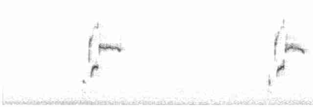 Iberian Gray Shrike - ML613459874