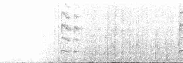 Colibri rubis-émeraude - ML61346