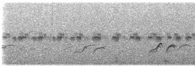 Длинноногая тиркушка - ML613461021