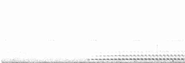 výreček americký (ssp. mccallii) - ML613461045
