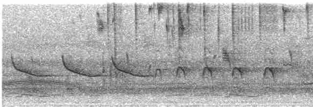 Трав’янчик рудокрилий - ML613461835